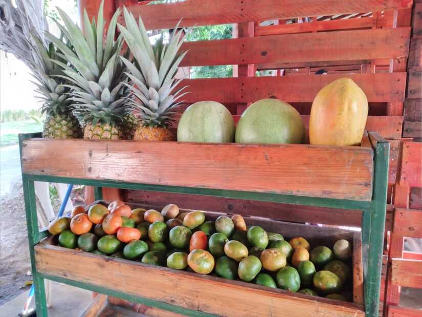 MERCADO